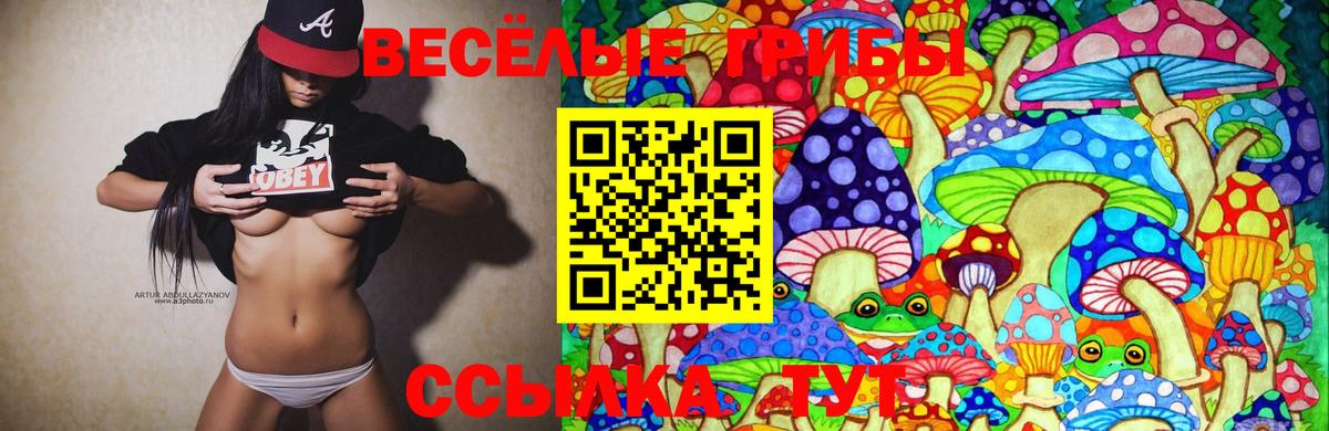 Псилоцибиновые грибы GOLDEN TEACHER Апрелевка