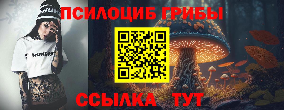 ГАШ Апрелевка